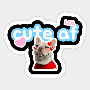 Cute funny dog meme Sticker